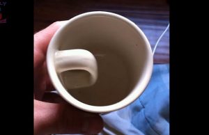 muki-moka-youtube-daily-doze