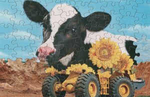 palapeli-taideteokset-valokuvat