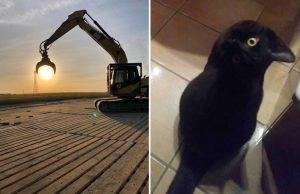 hakellyttava-ajoitus-valokuvaus