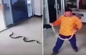 kaarme-poliisilaitos-sisaan-video