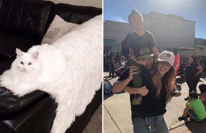 illuusio-huijaa-silmaa-valokuvat