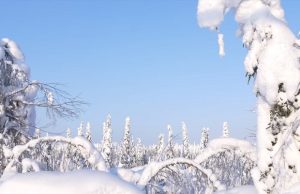 metsä-lumi-youtube-työturvallisuuskeskus