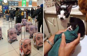 piristysta-paivaan-kuvat-katso