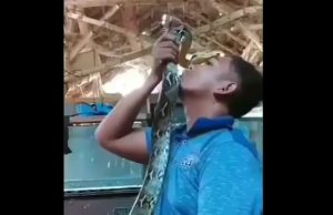 poika-käärme-reddit