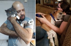 lemmikki-elain-suhde-kuvat