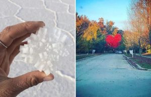 luontokuvat-tulisi-nahda-katso