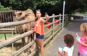 nainen-kameli-kuva-americas-funniest-home-videos