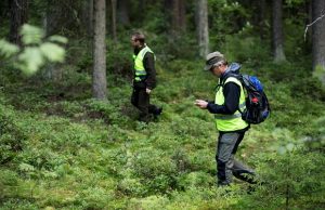 metsä-etsintä-kuva-Suomen-Punainen-Risti-Miisa-Kaartinen