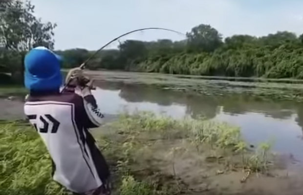 krokotiili-soi-kalastajan-kalan-video
