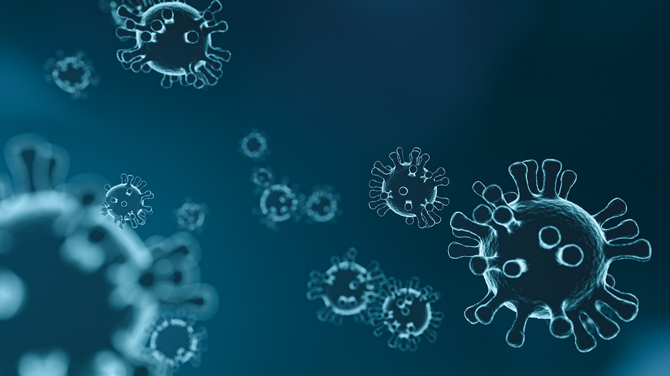 virus-koronavirus-pixabay