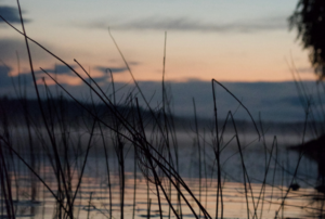 Finnish_lakeview-Unsplash