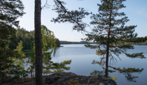 Järvimaisema_Suomi-Unsplash