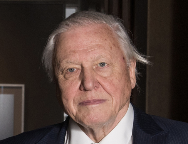 sir_David_Attenborough-WP